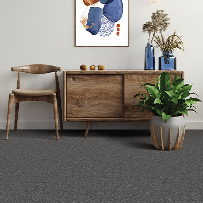 dark carpet in living room area space