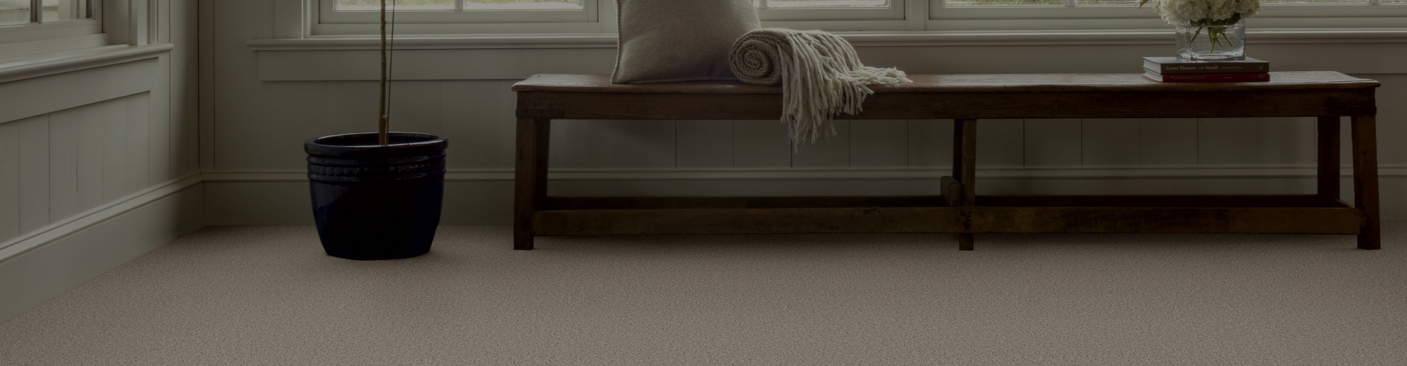 carpet in living room entry area